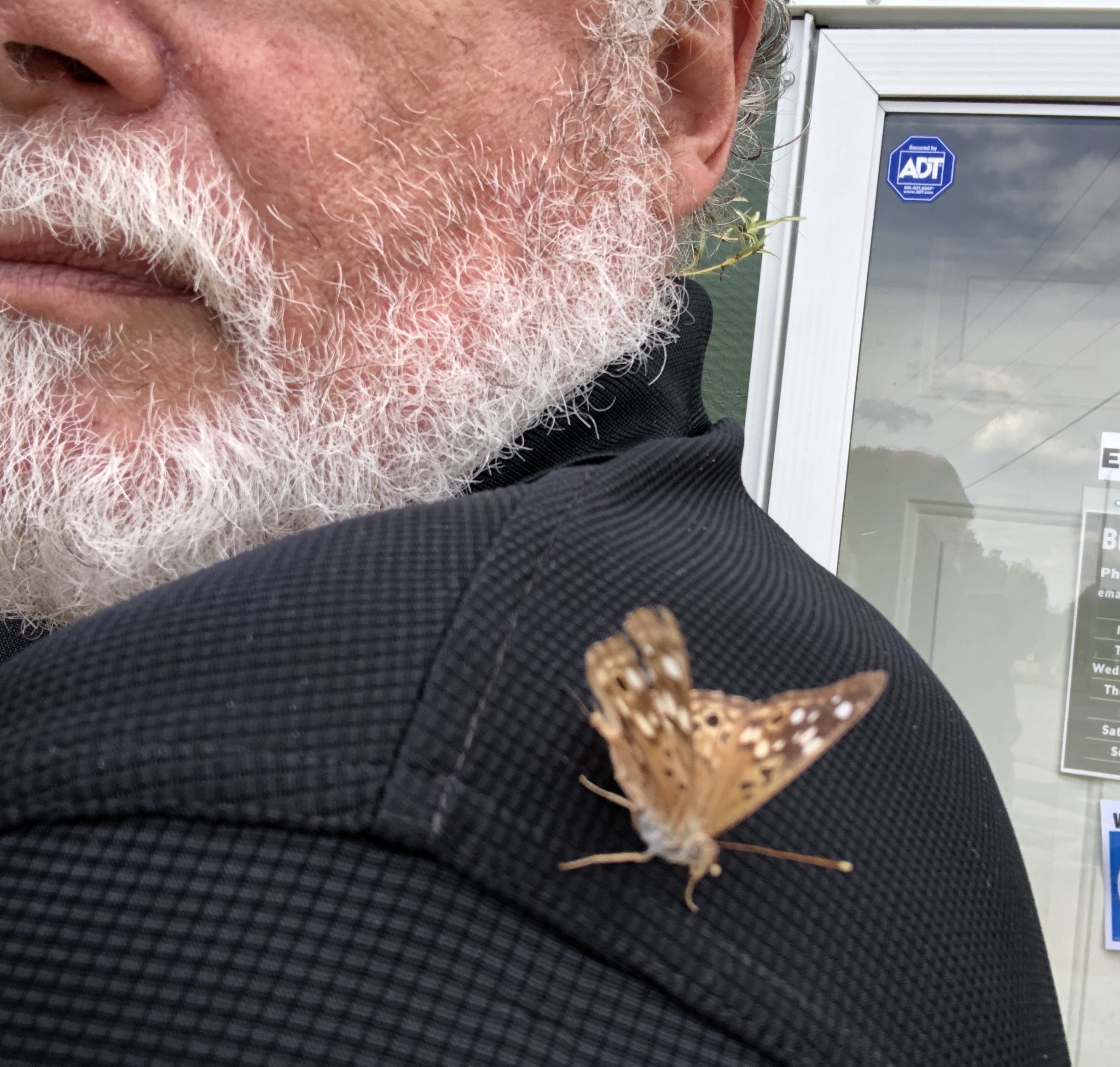 Friendly Butterfly | Sabela Images Photography