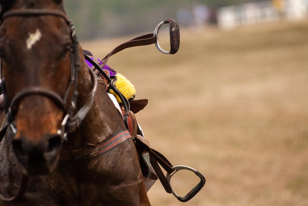 Loose Horse | The Carolina Cup 2014 | Sabela Images Photography