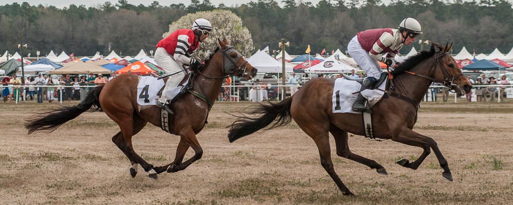 Steeplechase | The Carolina Cup 2014 | Sabela Images Photography