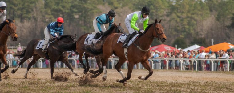 Steeplechase | Carolina Cup 2014 | Sabela Images Photography