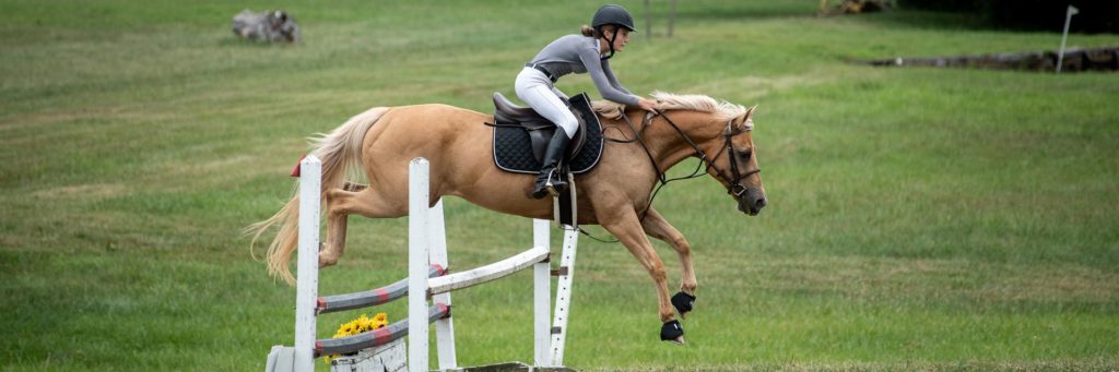 Hillcrest Farm, Mocksville NC | Photographer - Duncan Moody | Sabela Images Photography