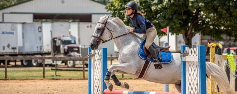 Thoroughbred Training Center (TTC), Mocksville NC | Photographer - Duncan Moody | Sabela Images Photography