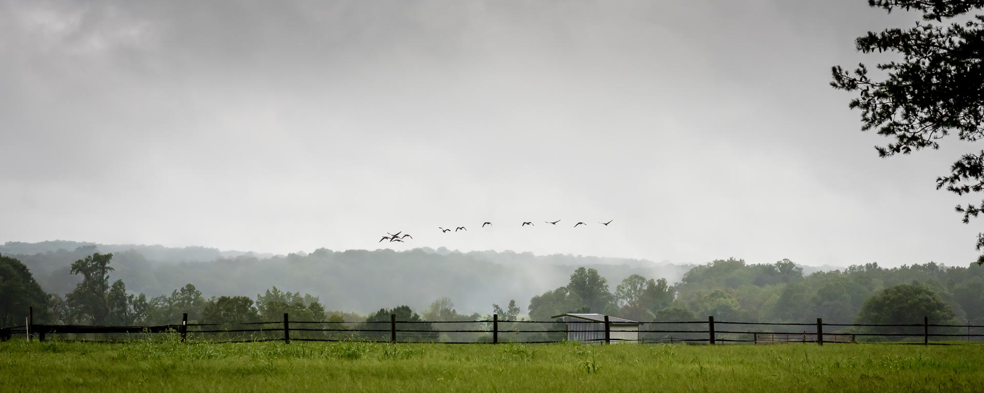 Thoroughbred Training Center (TTC), Mocksville NC | Photographer - Duncan Moody | Sabela Images Photography