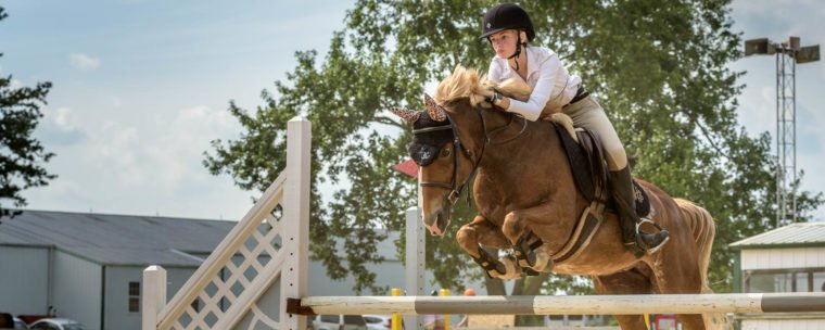 Thoroughbred Training Center (TTC), Mocksville NC | Photographer - Duncan Moody | Sabela Images Photography