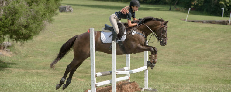 photo by Sabela Images Photography at Hillcrest Farms Mocksville