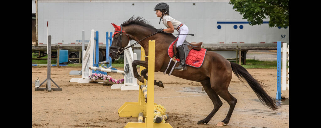 Thoroughbred Training Center (TTC), Mocksville NC | Photographer - Duncan Moody | Sabela Images Photography