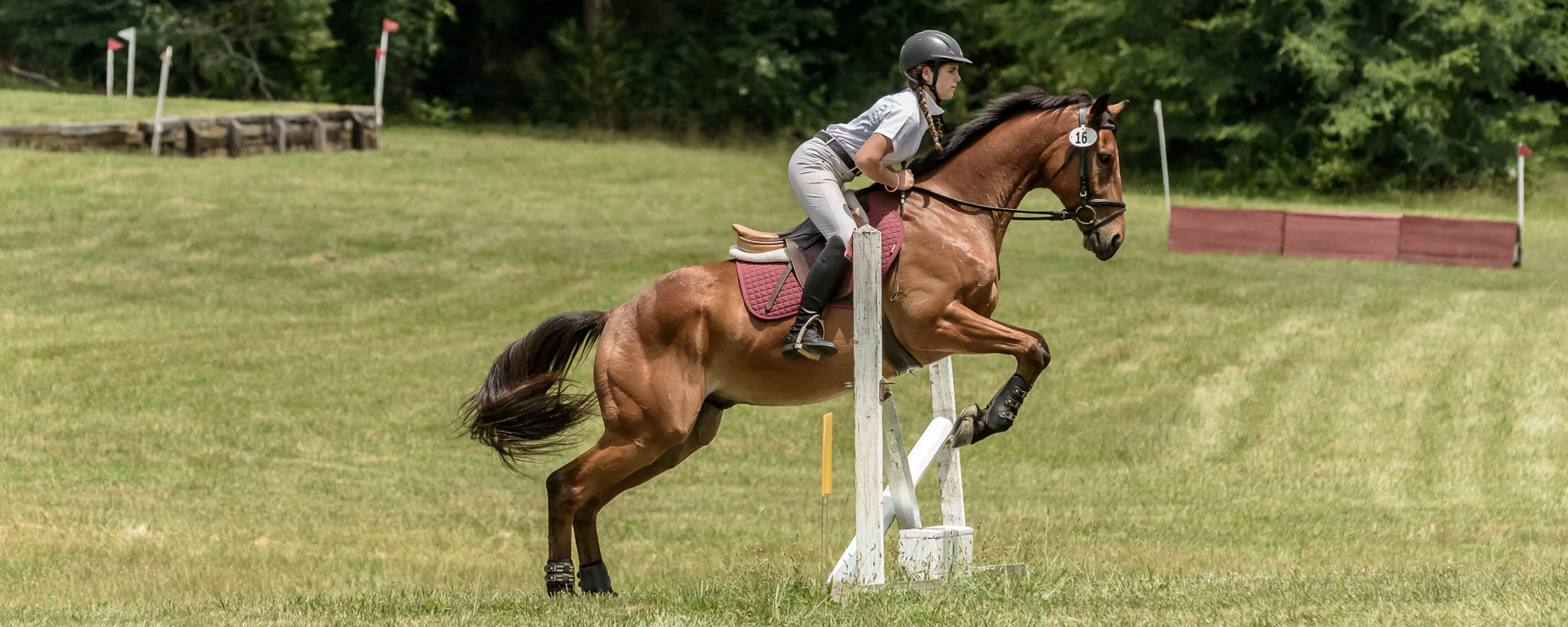 photo by Duncan Moody Sabela Images Photography at Hillcrest Farms Mocksville