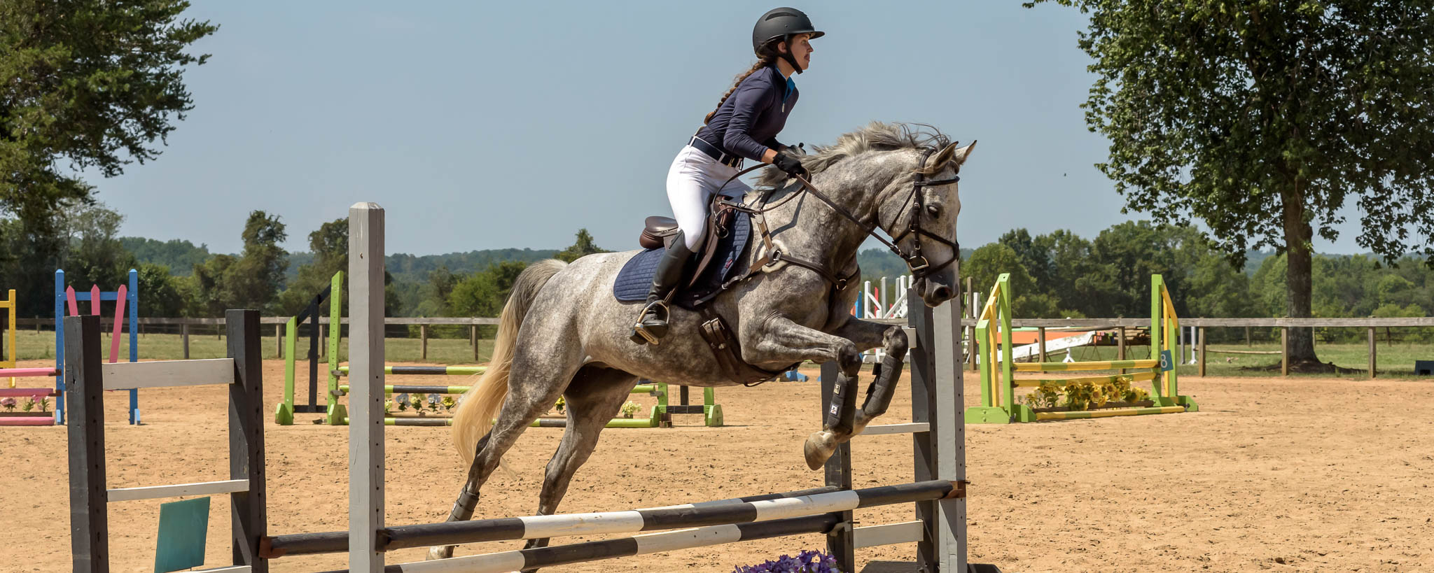 Jumper Show TTC Mocksville NC | Photographer - Duncan Moody | Sabela Images Photography