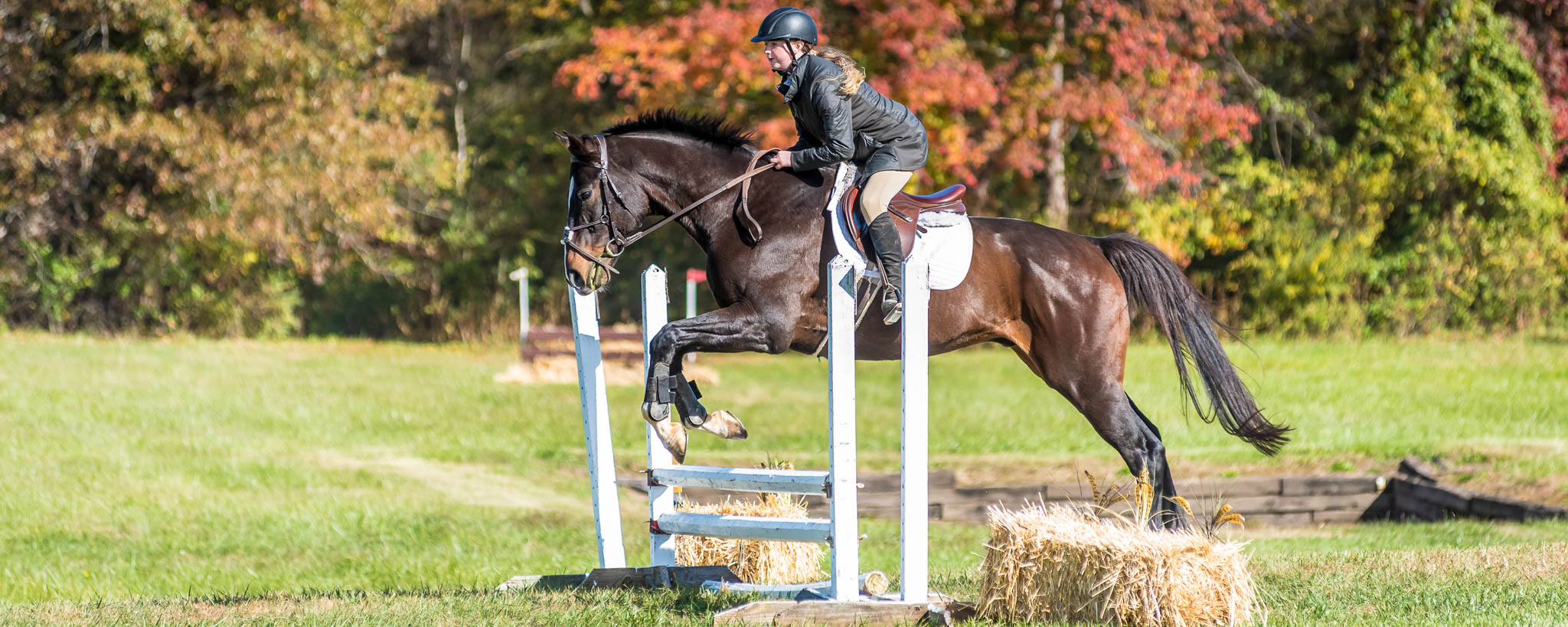 photo by Duncan Moody Sabela Images Photography at Hillcrest Farms Mocksville
