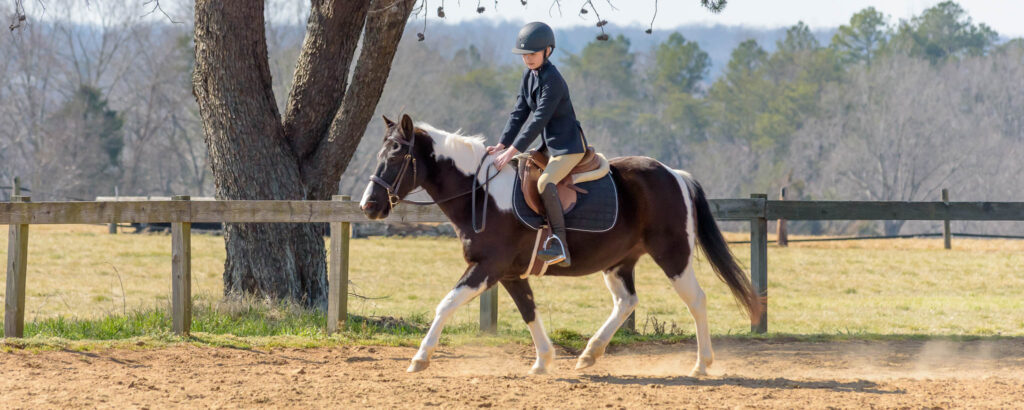 Winter Hunter Show TTC Mocksville NC | Photographer - Duncan Moody | Sabela Images Photography