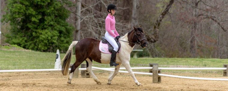 dressage | photo by Duncan Moody Sabela Images Photography at Hillcrest Farms Mocksville