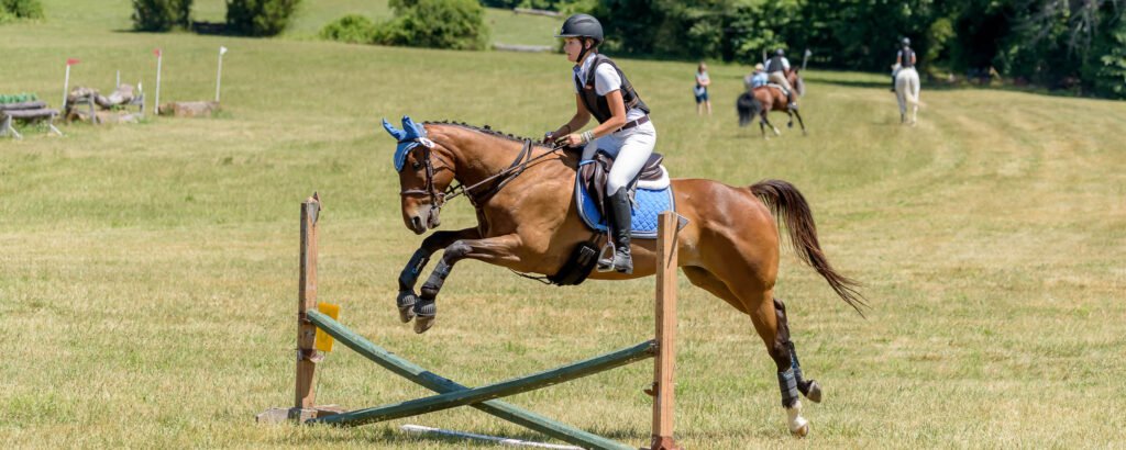 Horse Show at Hillcrest Farms | Sabela Images Photography