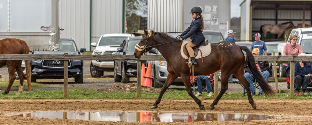 Winter Hunter Show TTC Mocksville NC 11-12-2022| Photographer - Duncan Moody | Sabela Images Photography