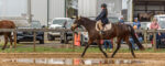 Winter Hunter Show at TTC on 11-12-2022