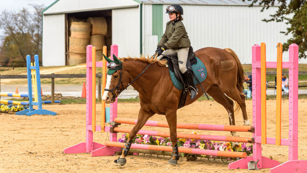 Combined Test Show TTC Mocksville NC | Photographer - Duncan Moody | Sabela Images Photography