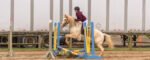 Combined Test & Jumper Show at TTC on 12-10-2022