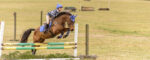 Dressage & Combined Test Show at Hillcrest Farms on 01/07/2023