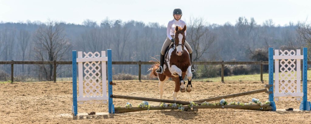 Winter Hunter Show TTC Mocksville NC | Photographer - Duncan Moody | Sabela Images Photography