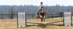 Winter Hunter Show at TTC on 1-21-2023