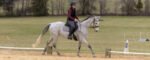 Dressage and Combined Test Show at Hillcrest Farms on Feb.11, 2023