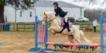 Combined Test/Jumper Show at TTC on Feb. 25, 2023