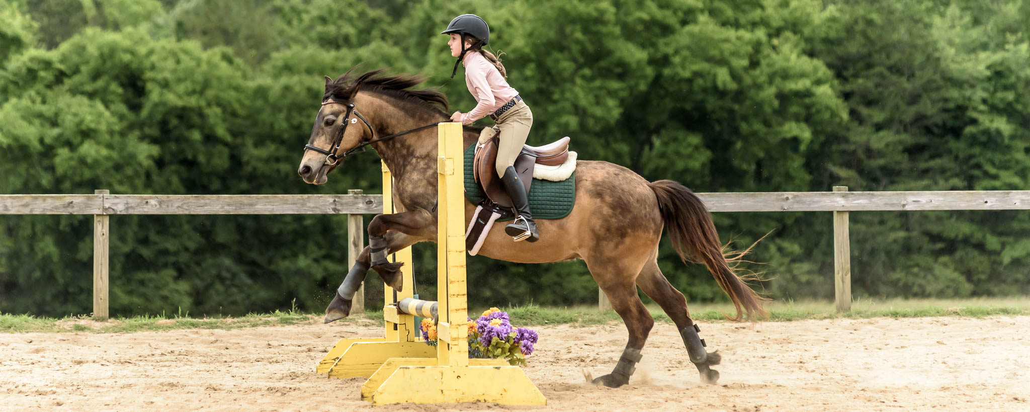 CT-Jumper Show TTC Mocksville NC | Photographer - Duncan Moody | Sabela Images Photography