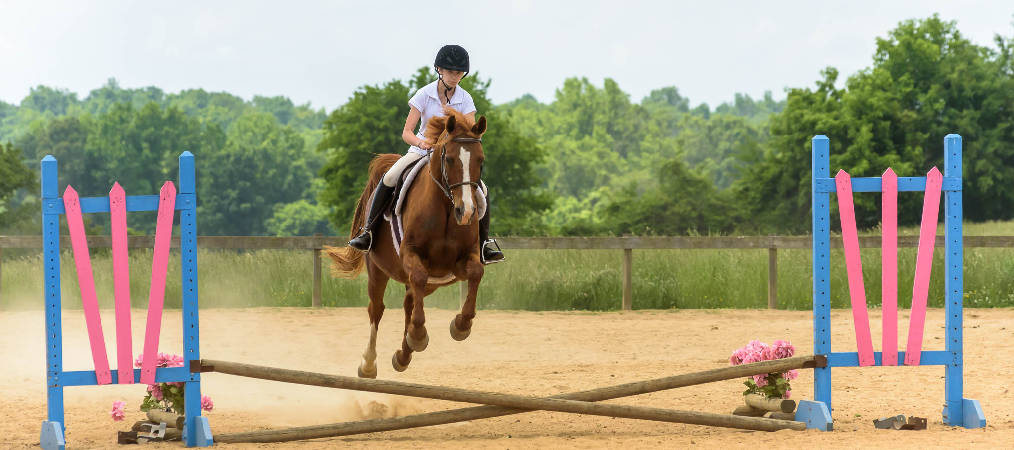 Hunter Show TTC Mocksville NC | Photographer - Duncan Moody | Sabela Images Photography