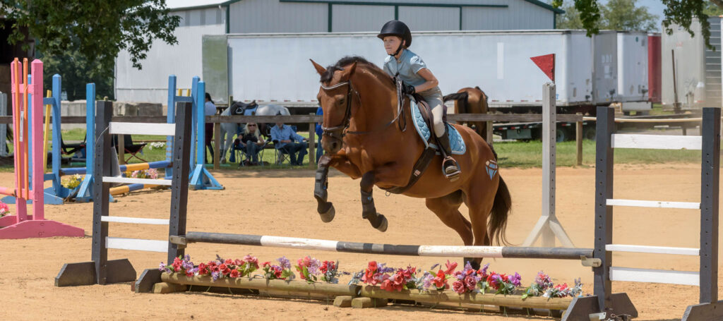 CT-Jumper Show TTC Mocksville NC | Photographer - Duncan Moody | Sabela Images Photography