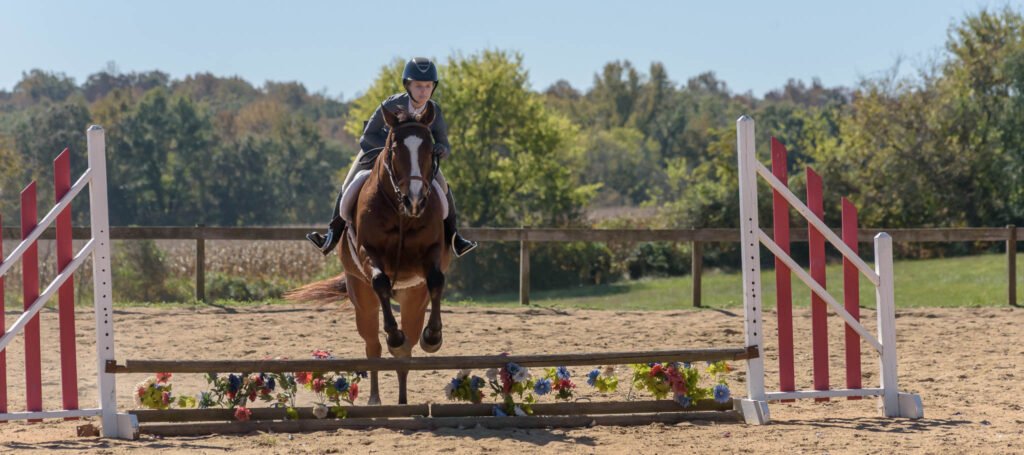 Hunter Show TTC Mocksville NC | Photographer - Duncan Moody | Sabela Images Photography