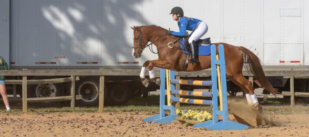 CT-Jumper Show TTC Mocksville NC | Photographer - Duncan Moody | Sabela Images Photography