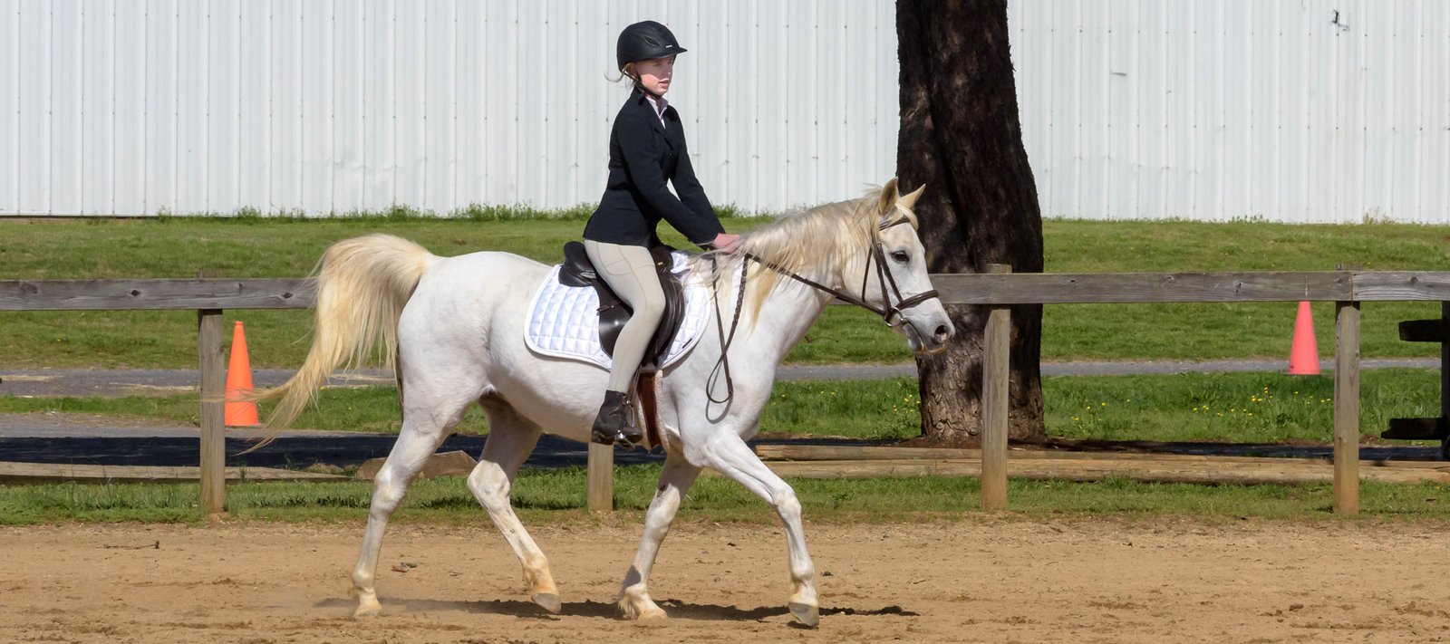 Hunter Show TTC Mocksville NC | Photographer - Duncan Moody | Sabela Images Photography