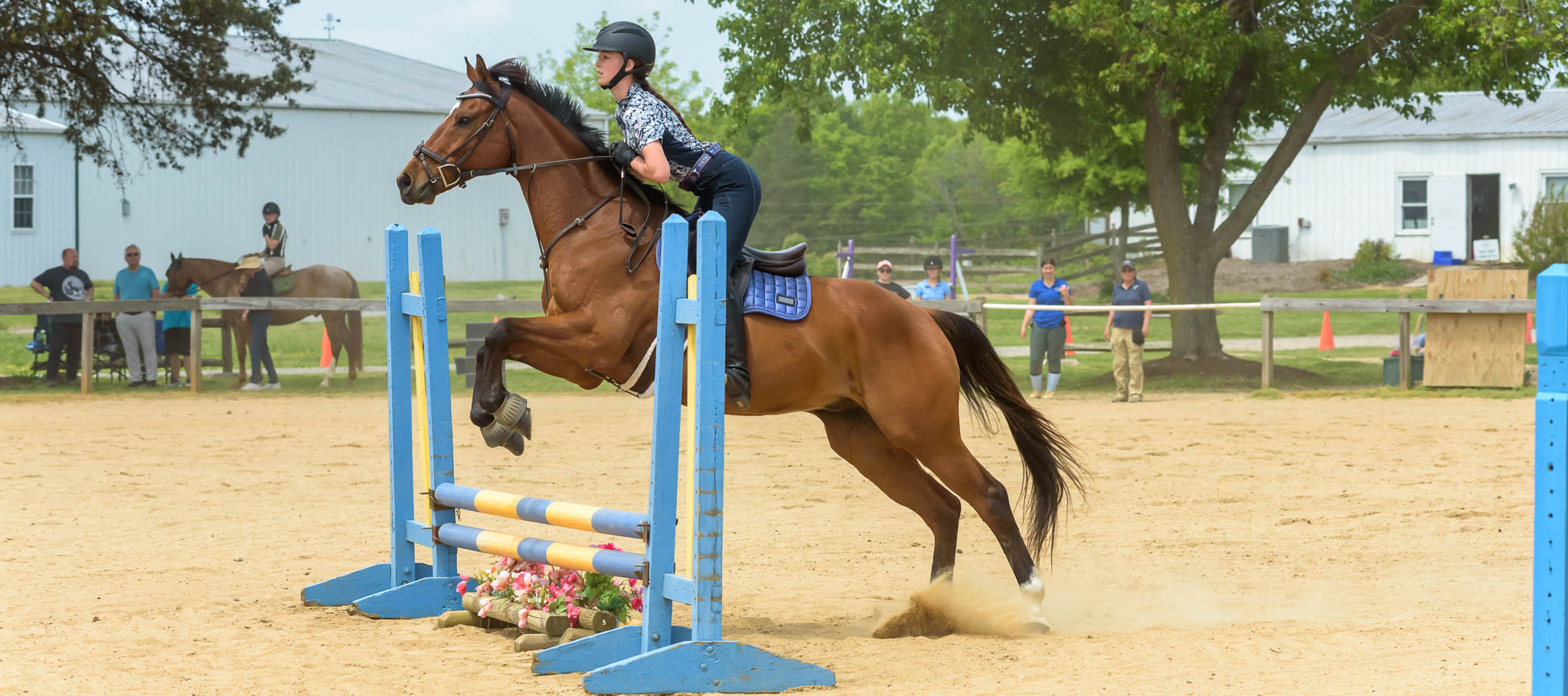 CT-Jumper Show TTC Mocksville NC | Photographer - Duncan Moody | Sabela Images Photography