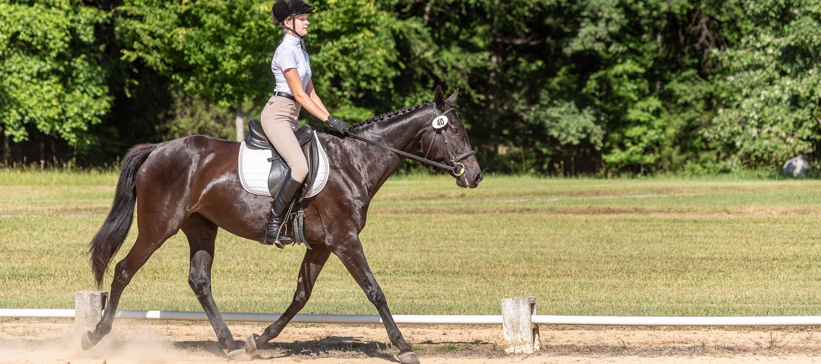 D/CT Show at Hillcrest Farms | Sabela Images Photography