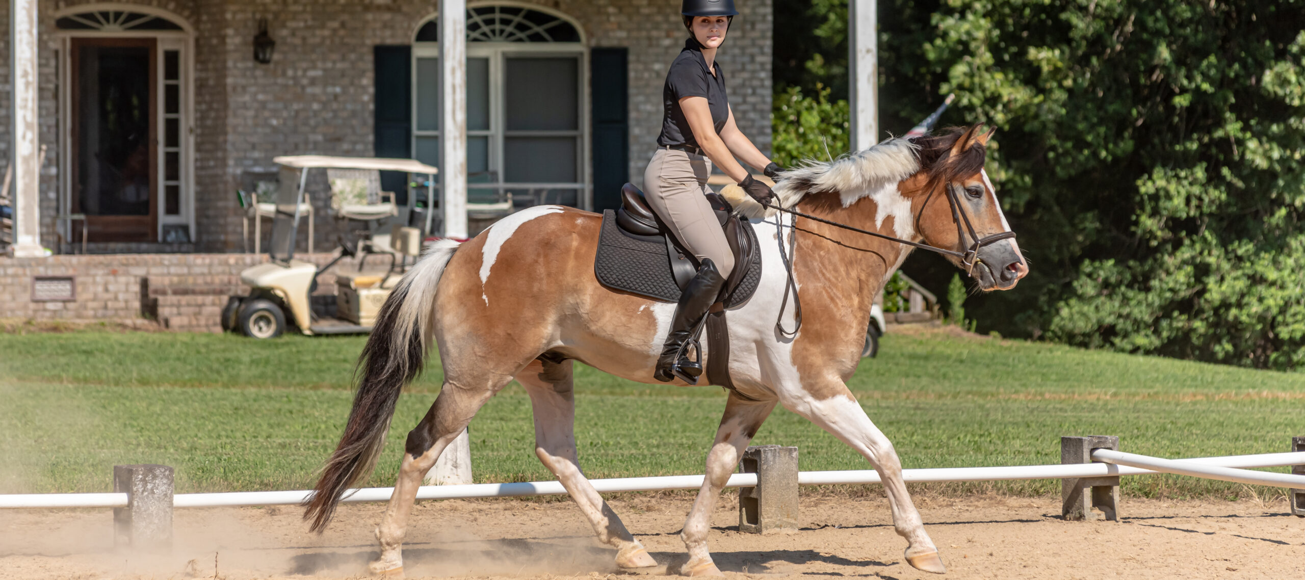 Combined Test (Dressage) rider at Hillcrest Farms on August 24, 2024