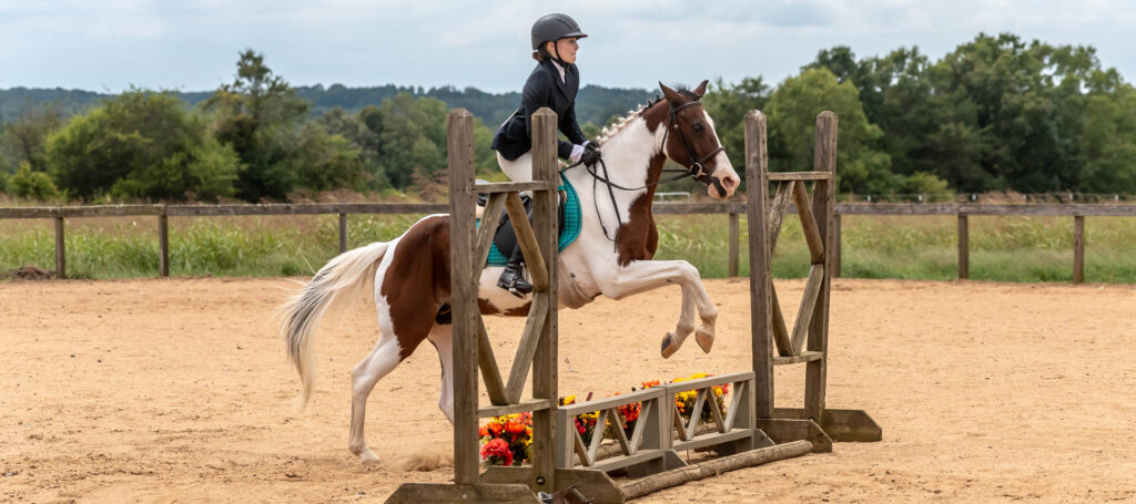 Hunter Show TTC Mocksville NC | Photographer - Duncan Moody | Sabela Images Photography