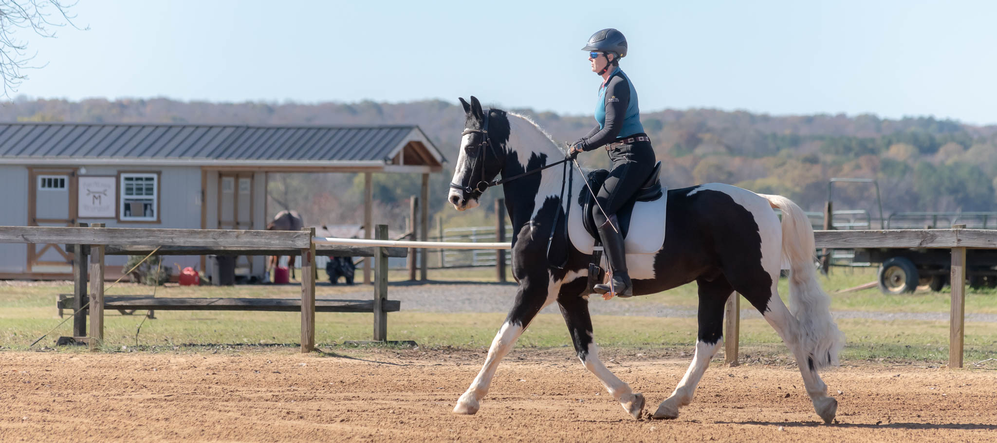 Combined Test / Jumper Show at TTC .Copyright-2024 Duncan Moody