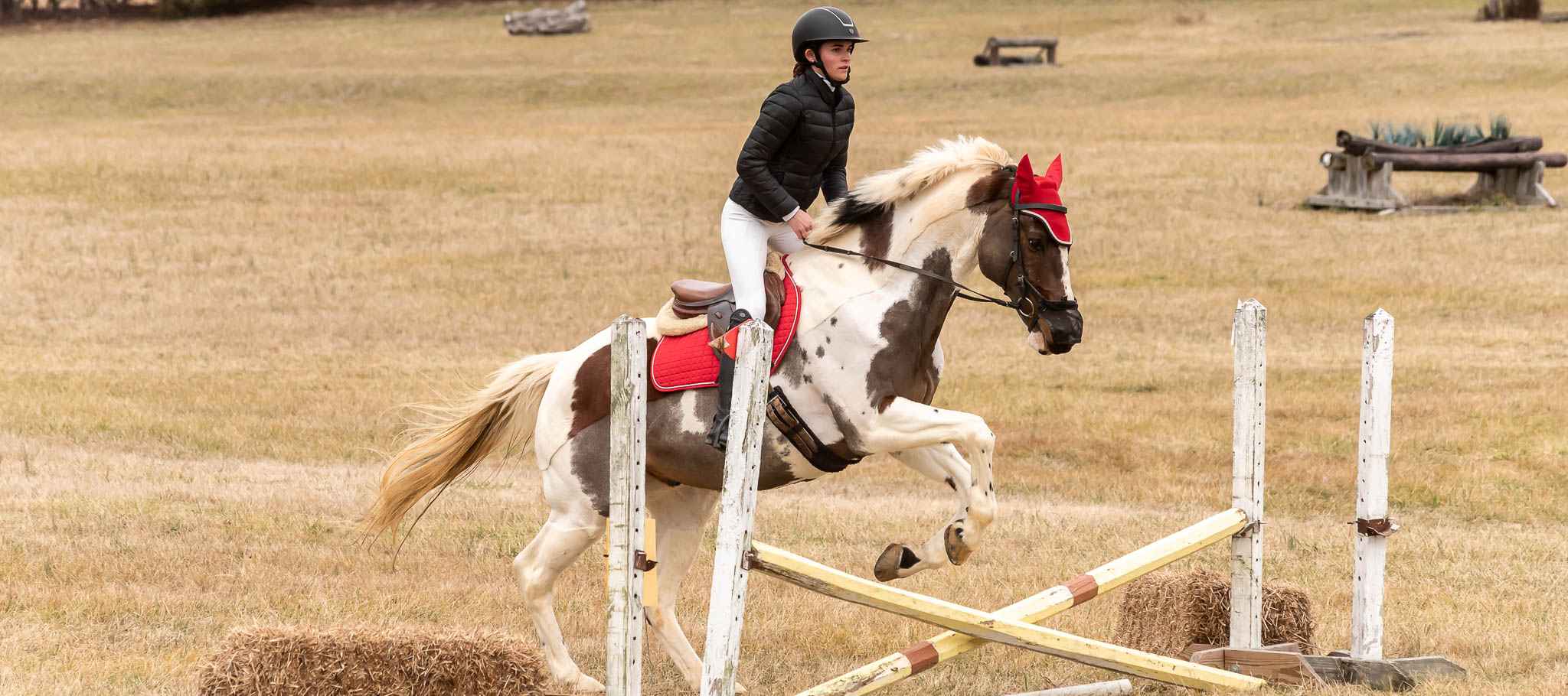 Horse Show at Hillcrest Farms | Copyright-2025 Duncan Moody