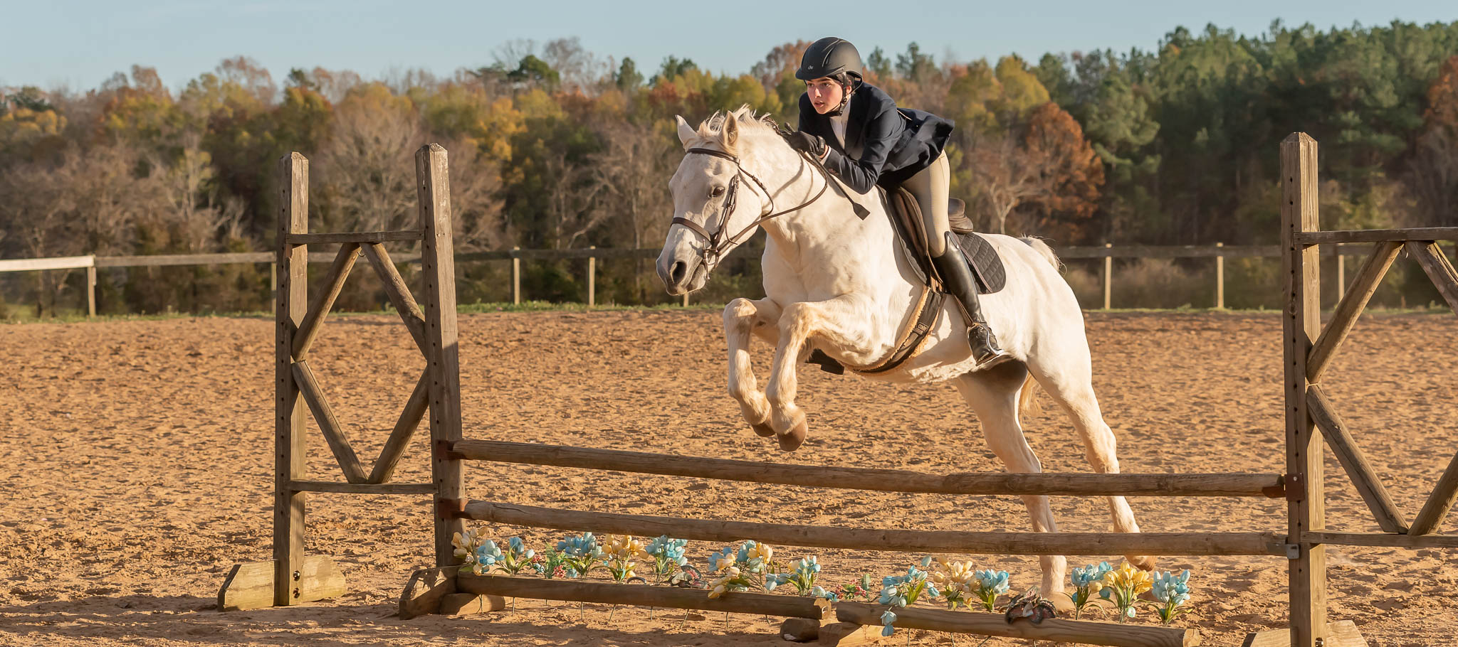 Winter Hunter Show TTC Mocksville NC | Photographer - Duncan Moody | Sabela Images Photography