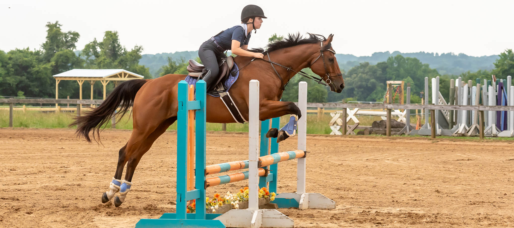 Rider clearing a jump at a Jumper show