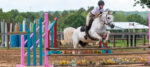 Hunter Show at TTC on June 7, 2025 Rider clearing a jump at a TTC Jumper show