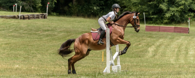 photo by Duncan Moody Sabela Images Photography at Hillcrest Farms Mocksville