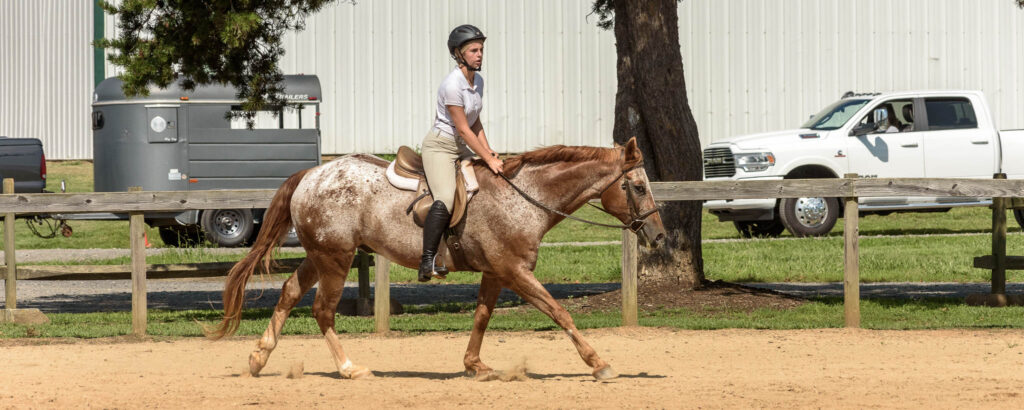 Fun Hunter Horse Show TTC Mocksville NC | Photographer - Duncan Moody | Sabela Images Photography