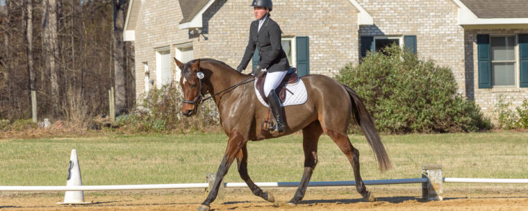 photo by Duncan Moody Sabela Images Photography at Hillcrest Farms Mocksville