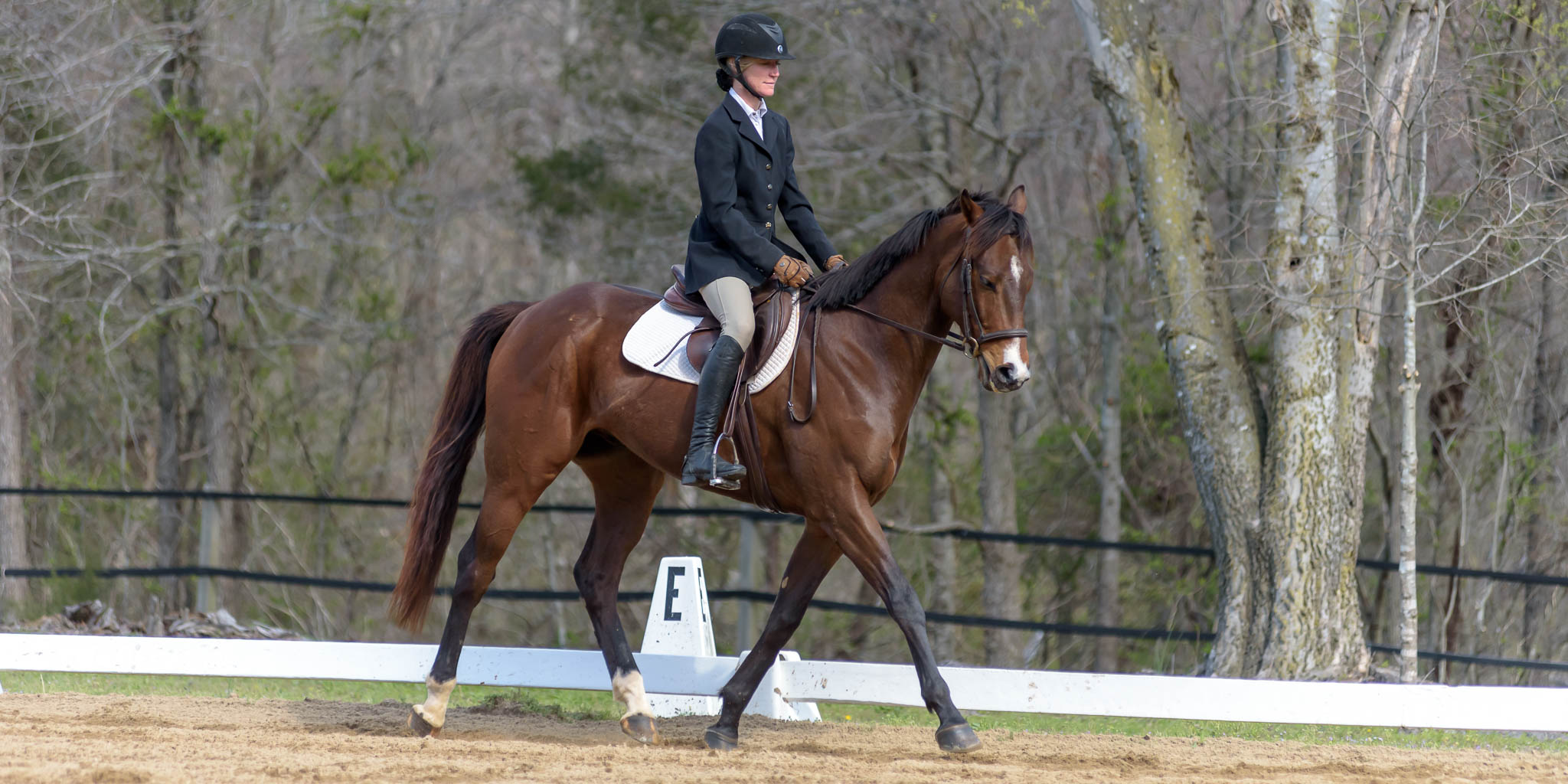 D/CT/J Show TTC Mocksville NC | Photographer - Duncan Moody | Sabela Images Photography