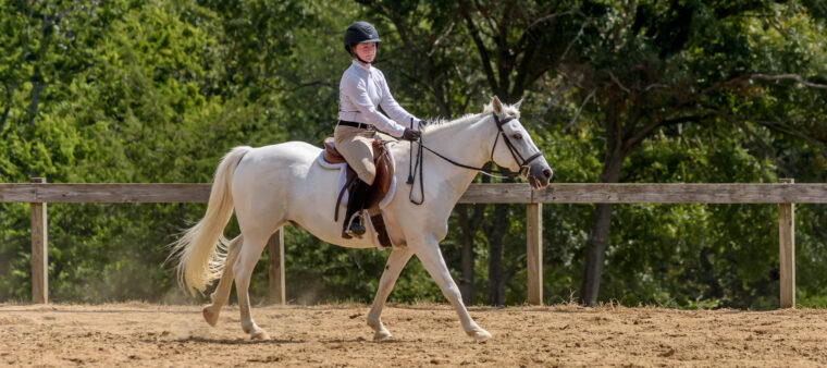 Hunter Show TTC Mocksville NC | Photographer - Duncan Moody | Sabela Images Photography