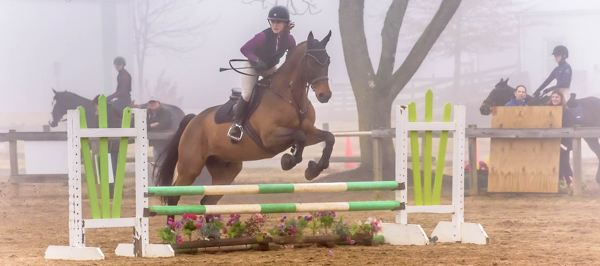 CT-Jumper Show TTC Mocksville NC | Photographer - Duncan Moody | Sabela Images Photography