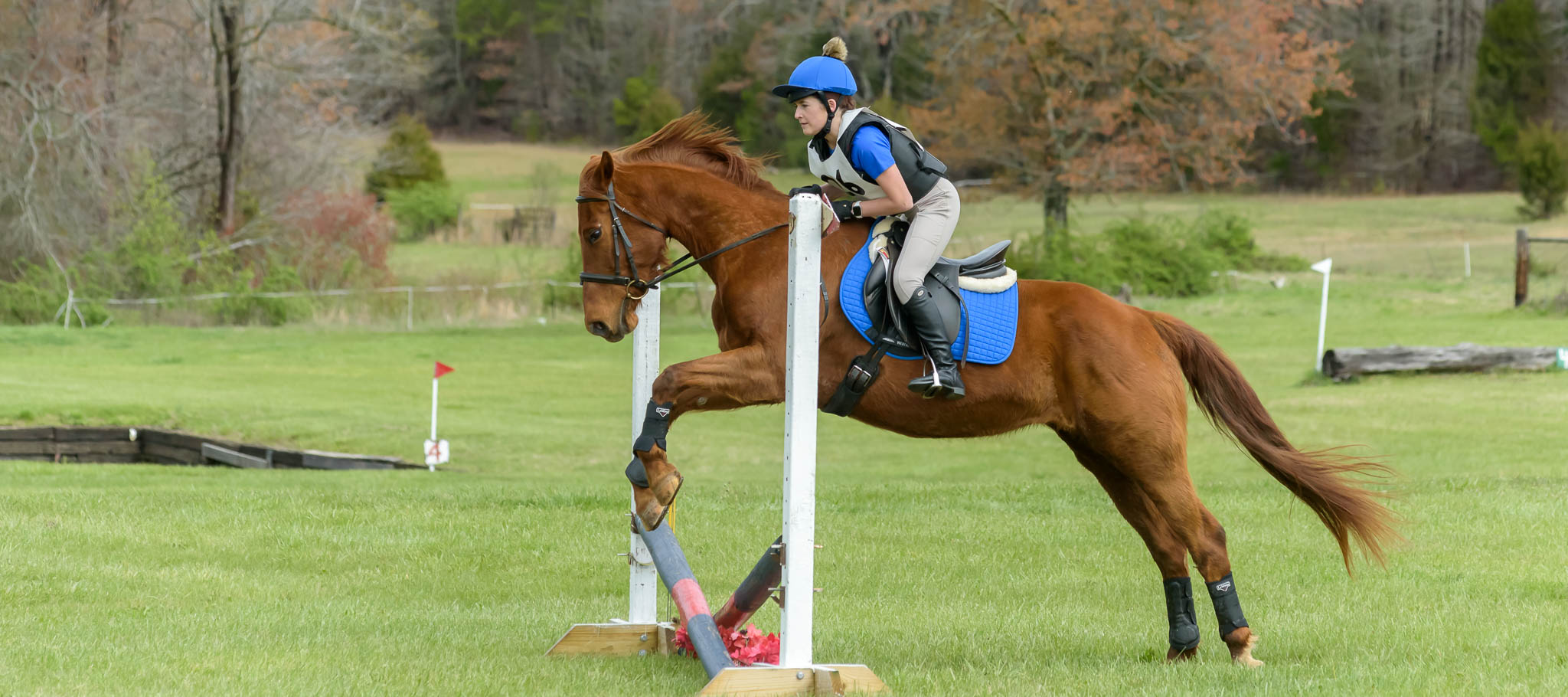 D/CT Show at Hillcrest Farms | Sabela Images Photography