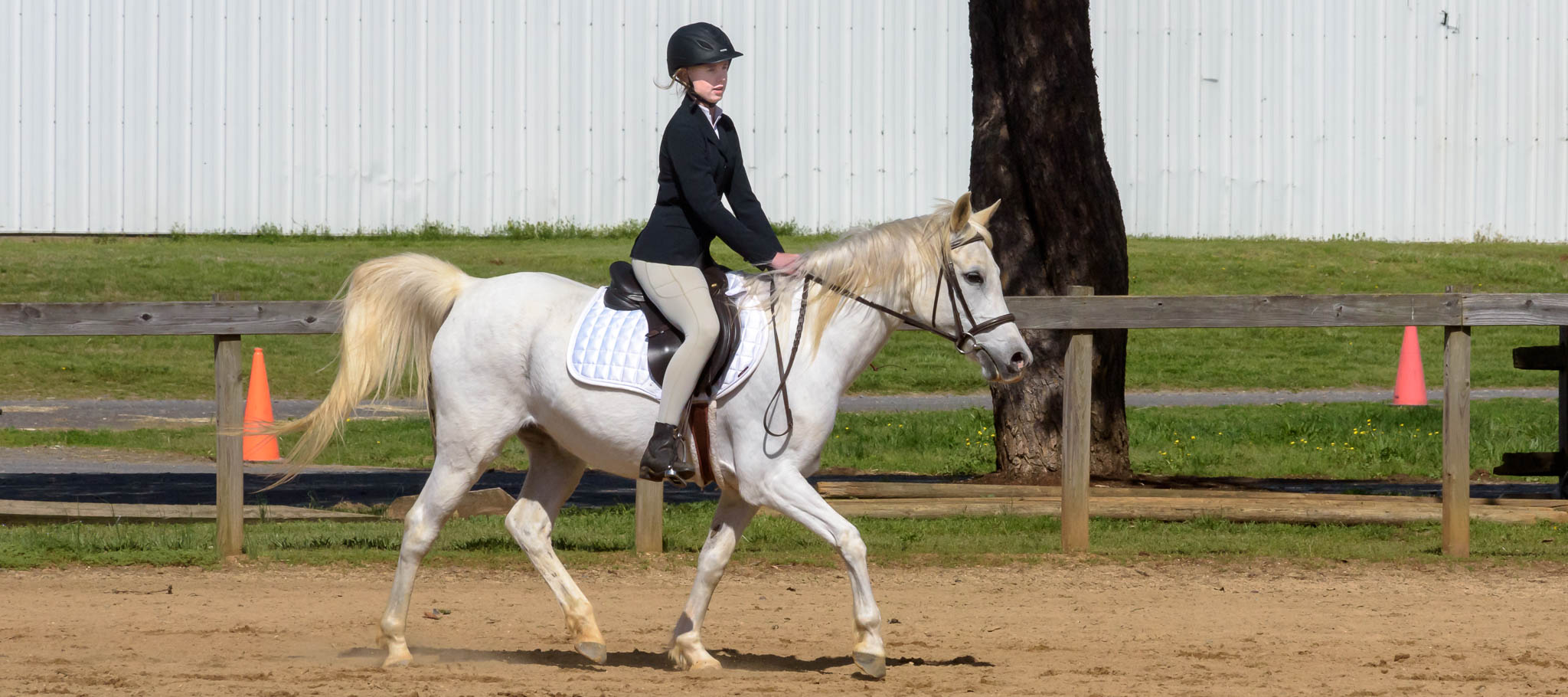 Hunter Show TTC Mocksville NC | Photographer - Duncan Moody | Sabela Images Photography
