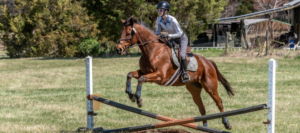 Horse Show at Hillcrest Farms | Copyright-2025 Duncan Moody