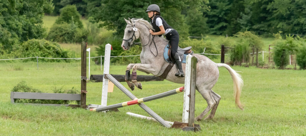 D/CT Show at Hillcrest Farms, Mocksville, NC